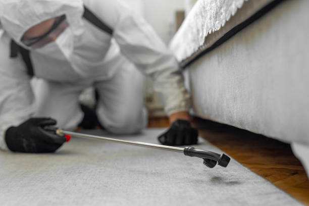 Professional Termite Control technician working in York, SC