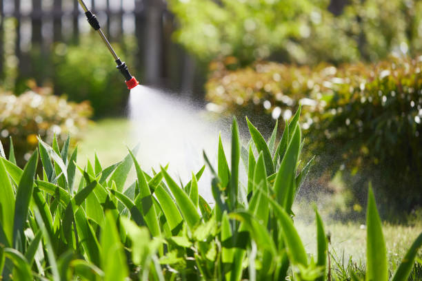24/7 Emergency Termite Control experts in York, SC