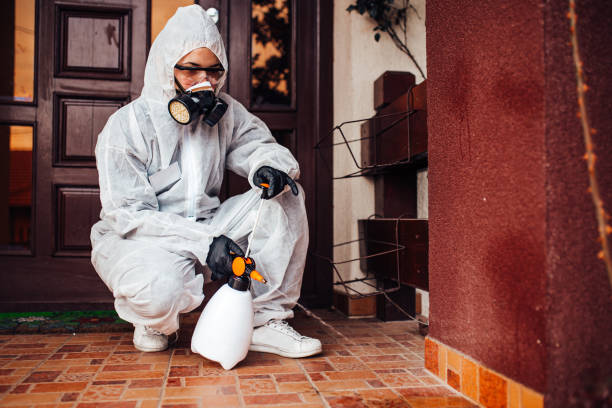 Reliable Termite Control contractor in York, SC by Nex Pest Control