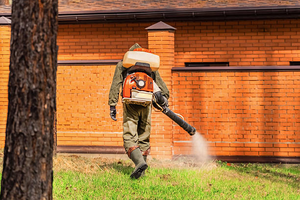 Top rated local Termite Control specialists in York, SC